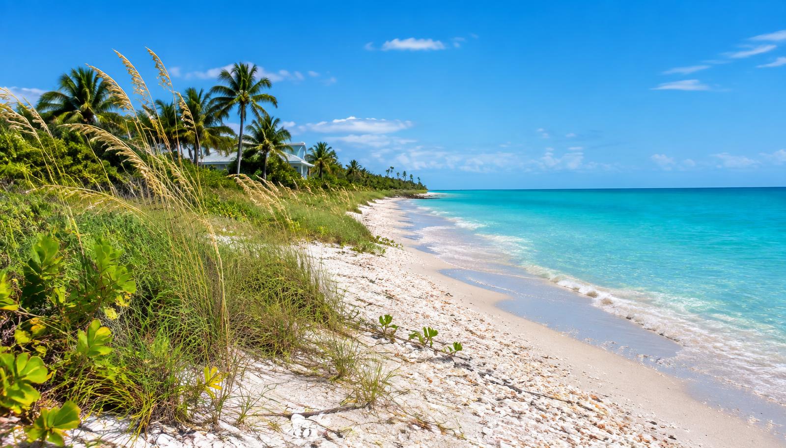 Editorial representation of a shell beach on Sanibel and Captiva